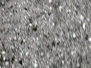 2203_Fanfare Haut-Jura_14