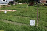 2019_jour citoyen_060