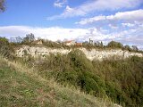 2003_belvedere_015
