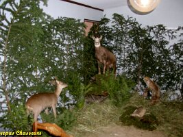 2004_repas chasseurs_09