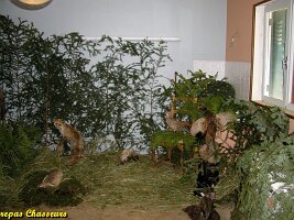 2004_repas chasseurs_10