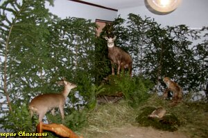 2004_repas chasseurs_09
