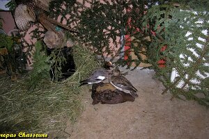 2004_repas chasseurs_13
