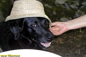 2005_repas chasseurs_160