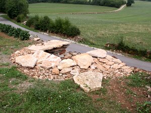 Cabane berger - patrick